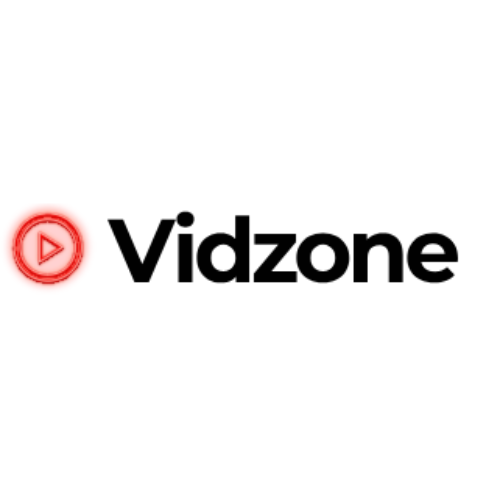 Vidzone logo